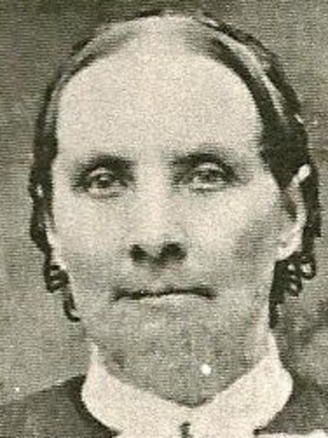Mary Draper (1820 - 1899) Profile